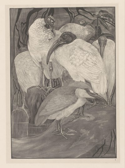 Five Ibises and a Night Heron by Theo van Hoytema
