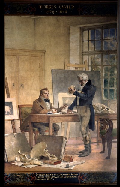 Paleontology: Baron Georges Cuvier (1769-1832) reunites the documents for his work on fossil bones. Fresco by Theobal Chartran (1849-1907). Paris University of the Sorbonne by Theobald Chartran