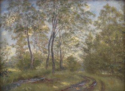 A River near Meilgard Manor, Jutland by Theodor Philipsen