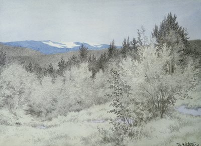 Far Far Away in the Forest by Theodor Kittelsen