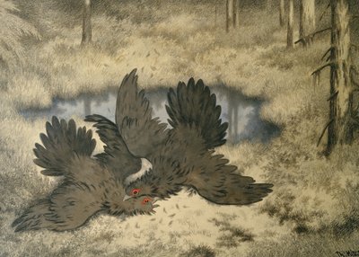 The Troll Bird Fight by Theodor Kittelsen