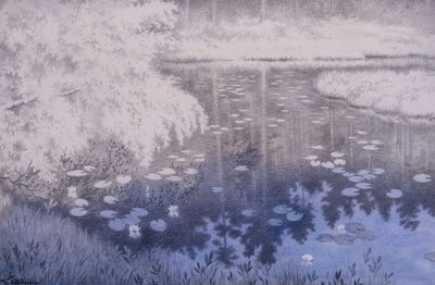 There Lies a Pond in Svartebudale by Theodor Kittelsen