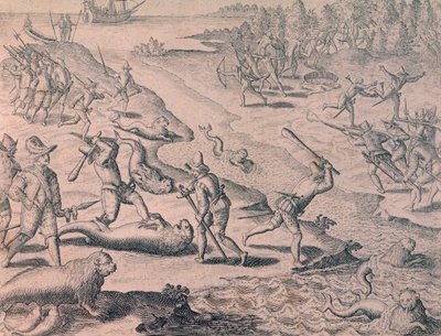 Slaughter of sea lions by explorers by Theodor de Bry