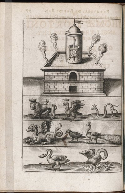 An Alchemy Furnace and Symbolic Animals of Alchemy (Engraving by Theodore de Bry) by Theodor de Bry
