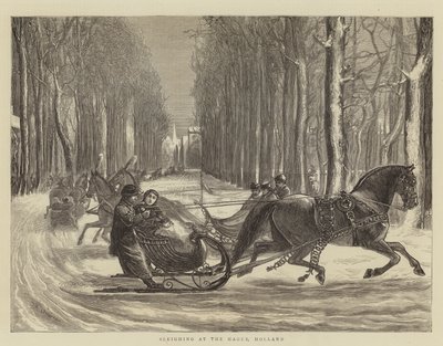 Sleighing at the Hague, Holland by Theodore Blake Wirgman
