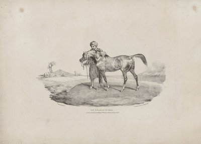 An Arabian Horse by Theodore Gericault