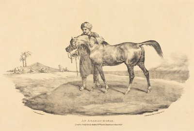 An Arabian Horse by Theodore Gericault