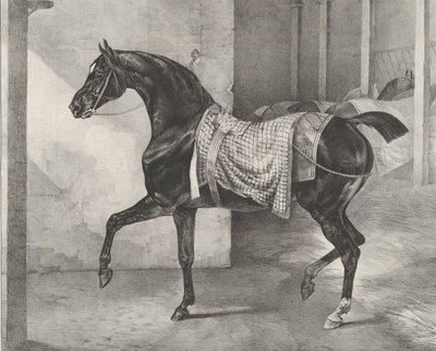 Black Horse Tethered in a Stable by Theodore Gericault