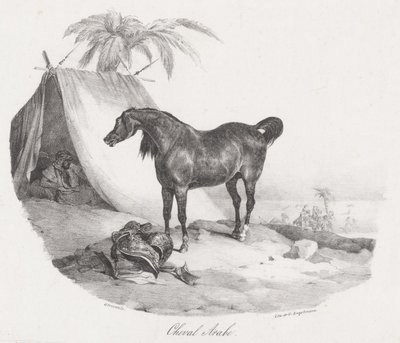 Arabian Horse by Theodore Gericault
