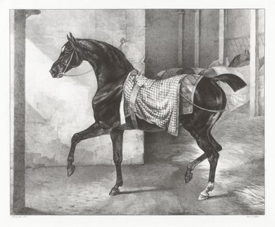 A Black Horse Tethered in a Stable by Theodore Gericault