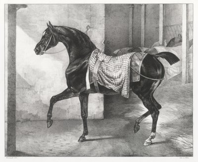 A Black Horse Tethered in a Stable by Theodore Gericault