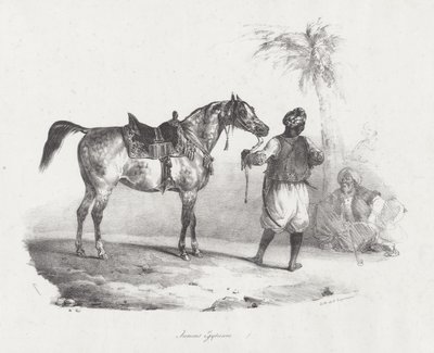 Egyptian Mare by Theodore Gericault