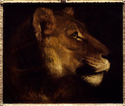Lioness Head by Theodore Gericault