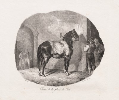 Lithographed Studies of Horses: Pl. 7, Horse from the Caen Plain by Theodore Gericault