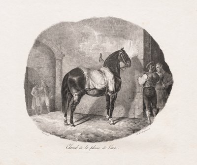 Lithographed Studies of Horses: Pl. 7, Horse from the Caen Plain by Theodore Gericault
