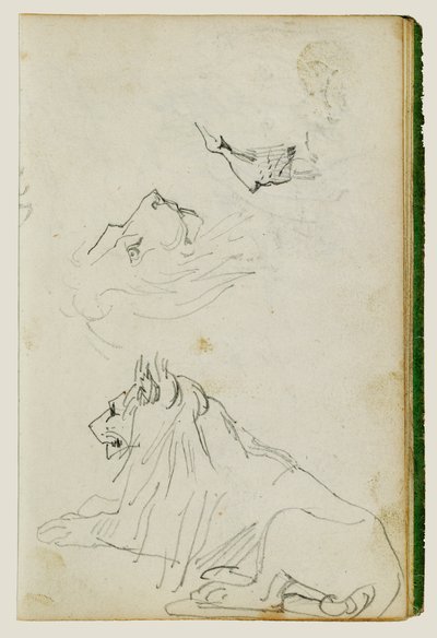 Seated Lion, Two Lion Head Studies by Theodore Gericault