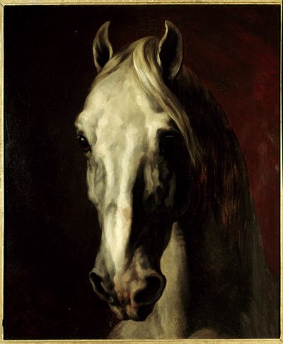 White horse