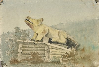Indian Grave. Wolf Totem over Medicine Man Grave, Wrangell by Theodore J. Richardson
