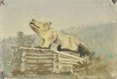 Indian Grave. Wolf Totem over Medicine Man Grave, Wrangell, ca. 1880-1914 by Theodore J. Richardson