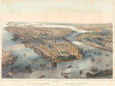 New York and Brooklyn - View Taken Above the Battery by Theodore Muller after William Simpson
