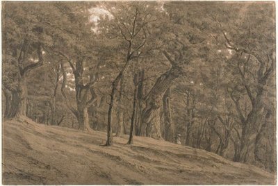 In the Forest of Fontainebleau by Theodore Rousseau