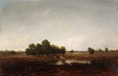 Landscape with Marsh by Pierre Etienne Theodore Rousseau