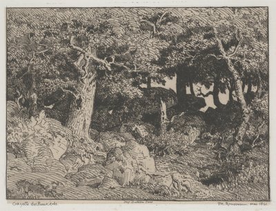 Oak Trees and Rocks by Pierre Etienne Theodore Rousseau