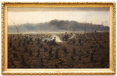 The Stumps by Theodore Verstraete