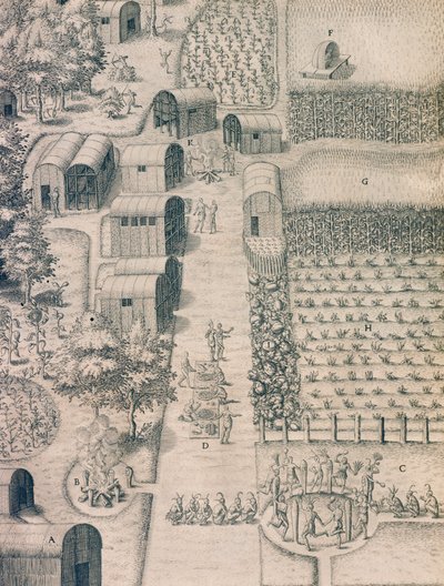 A native Indian village surrounded by cultivated land in Virginia by Theodore de Bry