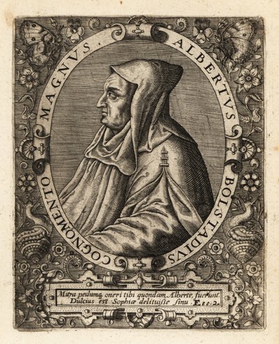 Albertus Magnus, German Catholic bishop by Theodore de Bry