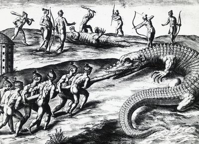 Crocodile Hunting in Florida, from painting by Jacques le Moyne de Morgues, by Theodor de Bry by Theodore de Bry