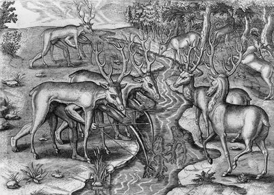 Florida Indians Hunting, Disguised as Deer, United States of America, engraving by Theodor de Bry from Indorum Floridam provinciam inhabitantium eicones, by Jacques Le Moyne de Morgues, Frankfurt am Main by Theodore de Bry