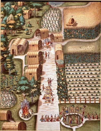 History of America: The Garden of the City of Secota in Virginia. Engraving from Admirante Narratio Americae by Theodore de Bry (1528-1598) by Theodore de Bry