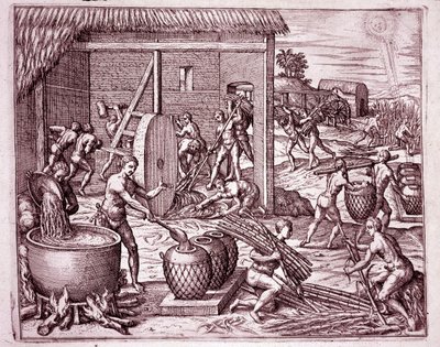 History of America: harvesting sugar cane and sugar production by Indian slaves who work for the Spanish conquistadors (Engraving) by Theodore de Bry