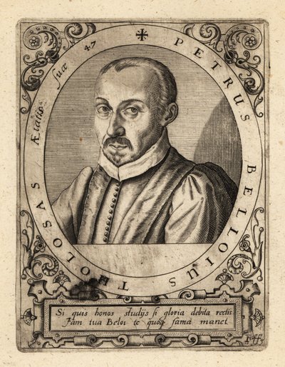 Pierre de Belloy, French Jurist and Magistrate by Theodore de Bry