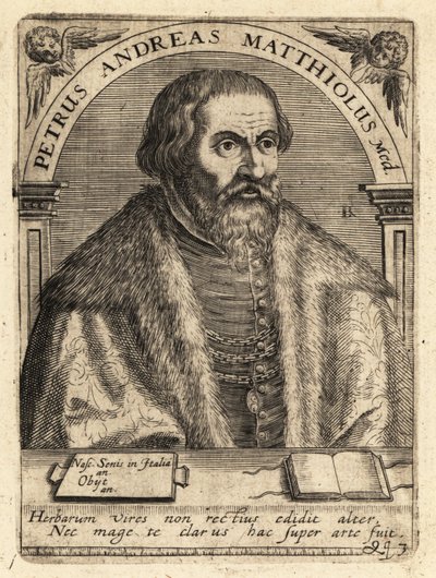 Pietro Andrea Gregorio Mattioli, Italian Physician by Theodore de Bry