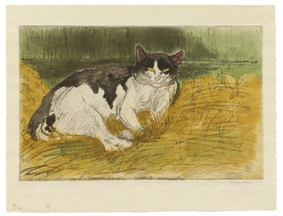 Old Black and White Cat in the Grass by Théophile Alexandre Steinlen