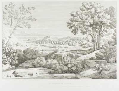 View from the Banks of the Illisos: Mountains of the Argolid, Temple of Olympic Jupiter, the Acropolis, Palace of King Corydalus, Village of Ambelokipos, Mount Anchesmos, Forest of Olives and the River Illisos by Théodore Caruelle d