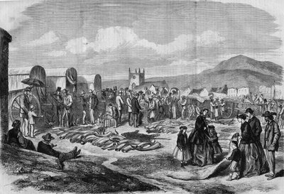 Ivory and skins market in Grahamstown, Albania, Cape Colony by Thomas (after) Baines