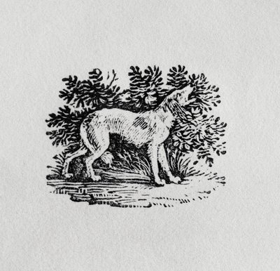 A Hound from 