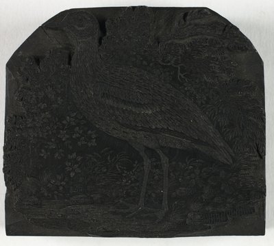 Woodblock for The Great Plover, from A History of British Birds by Thomas Bewick