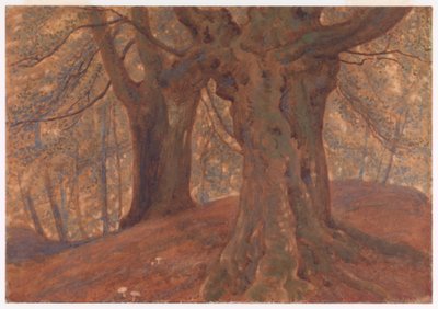 Burnham Beeches by Thomas Charles Farrer