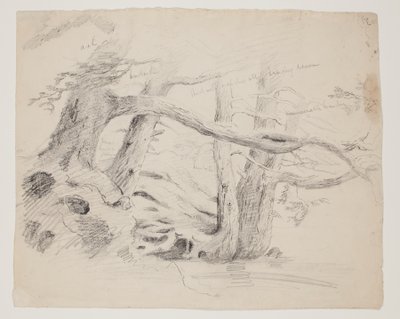 Oak and Hemlock Trees by Thomas Cole