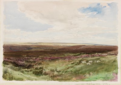Moorland near Hart Leap Well, Yorkshire by Thomas Collier