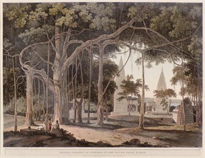 Hindoo Temples at Agouree on the River Soane by Thomas Daniell