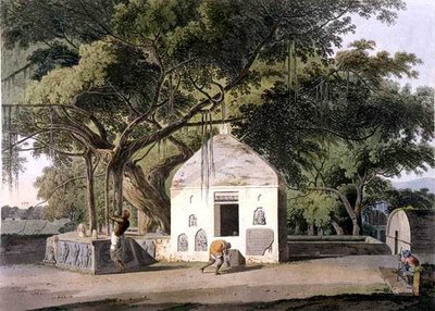 The Sacred Tree of the Hindoos, at Gyah, Bahar, from 