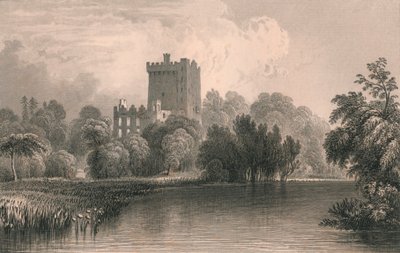 Blarney Castle, Co. Cork by Thomas Dixon