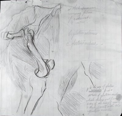 Anatomical Drawing by Thomas Eakins