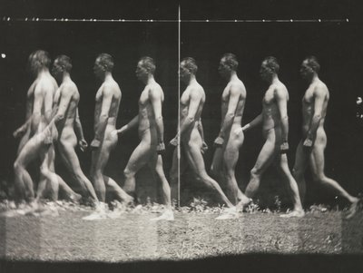 Man Walking, Stroboscopic Photograph, 1880s, printed 1930s-40s by Thomas Eakins