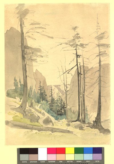 Mountain Landscape - Study by Thomas Ender